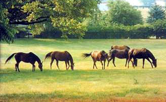 KentuckyHorses.jpg (23869 bytes)